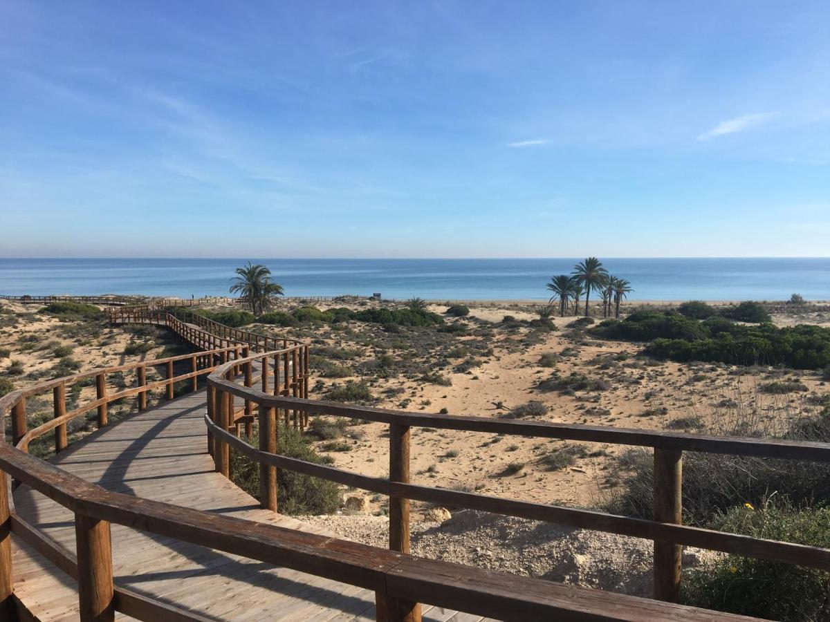 Luxury Appartement Alicante Los Arenales Del Sol, Near Beach, Large Solarium, Full Equipement מראה חיצוני תמונה