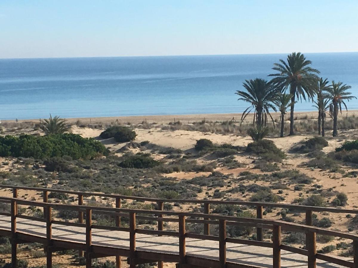 Luxury Appartement Alicante Los Arenales Del Sol, Near Beach, Large Solarium, Full Equipement מראה חיצוני תמונה